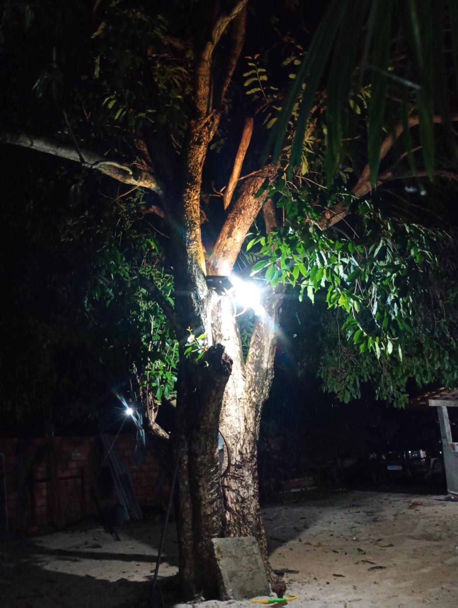Pousada Shalom E Hostel Holly Land Santo Amaro do Maranhao Exterior foto