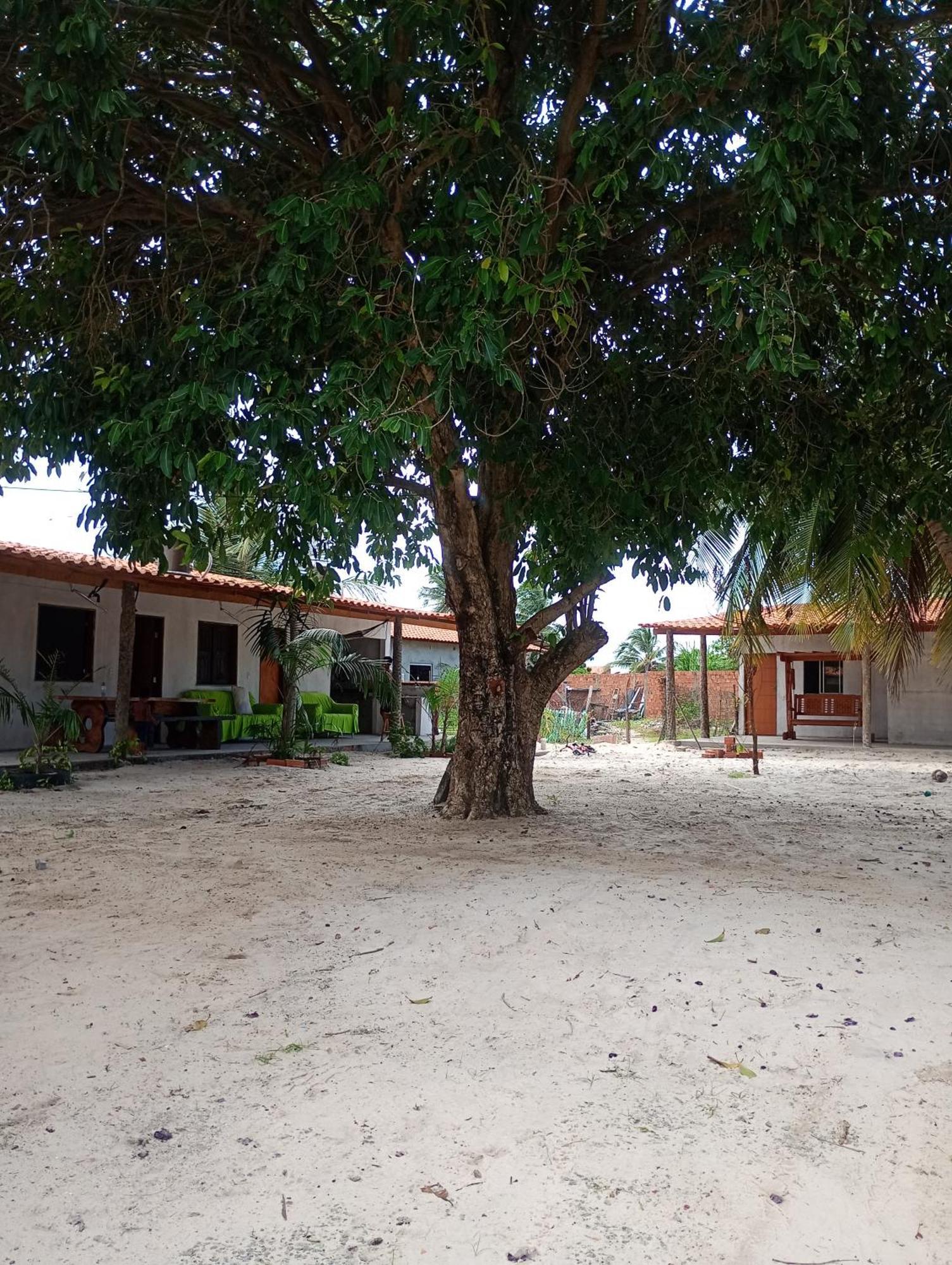 Pousada Shalom E Hostel Holly Land Santo Amaro do Maranhao Exterior foto